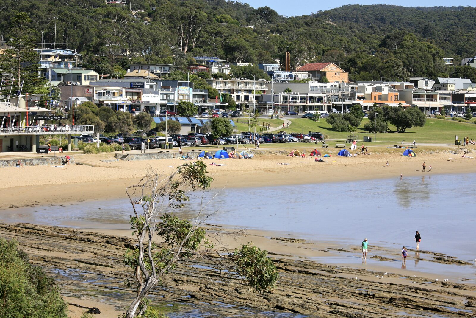 La Perouse Lorne